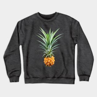 Pineapple Photograph Crewneck Sweatshirt